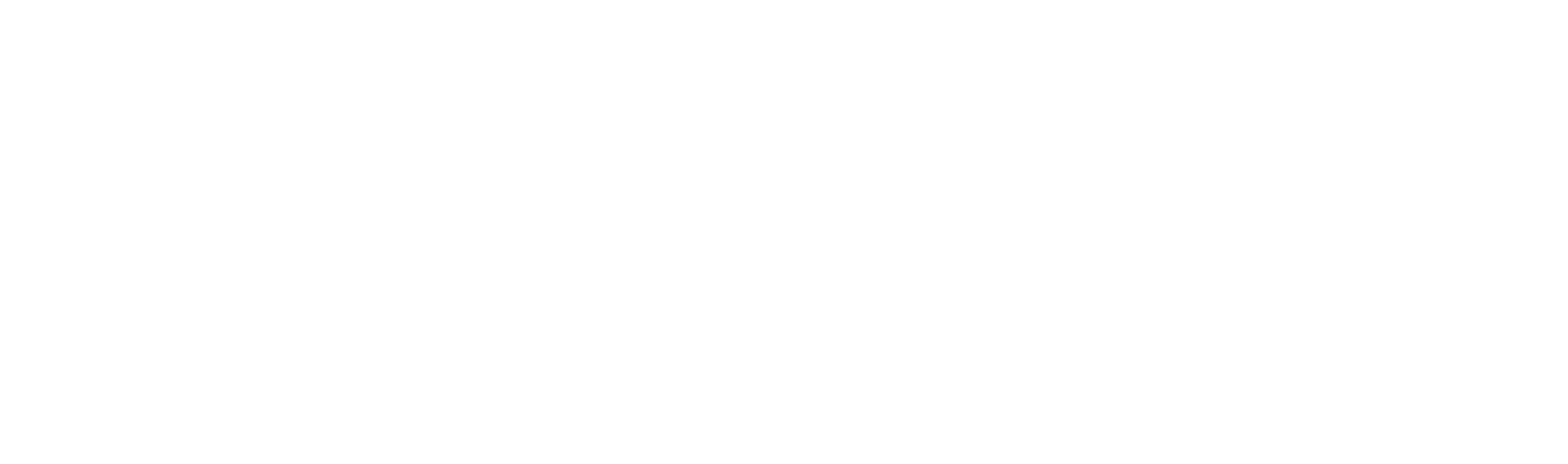 logo_white_horizontal 1