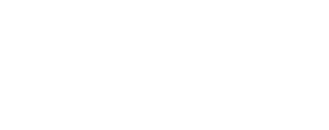lithic_strip2 1