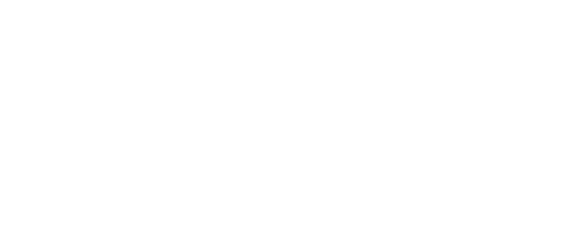lithic_strip2 1